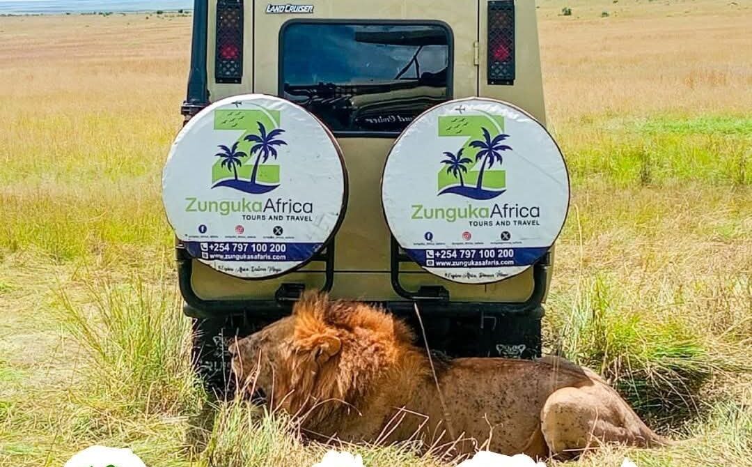 4×4 Land Cruiser Safari Kenya: Best Private Tours & Guides